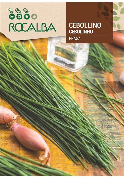 CEBOLLINO PRAGA