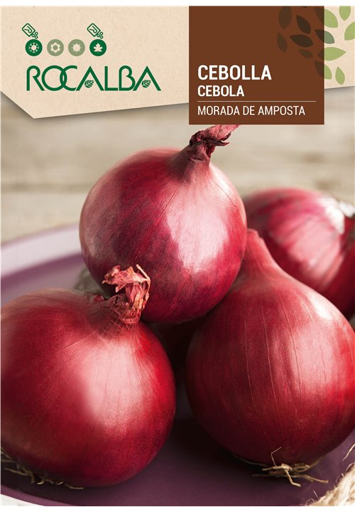 CEBOLLA MORADA DE AMPOSTA