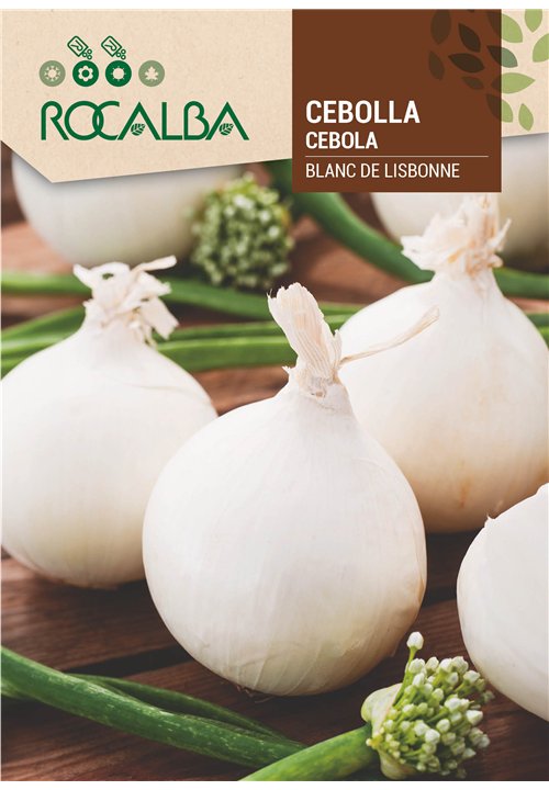 CEBOLLA BLANC DE LISBONNE