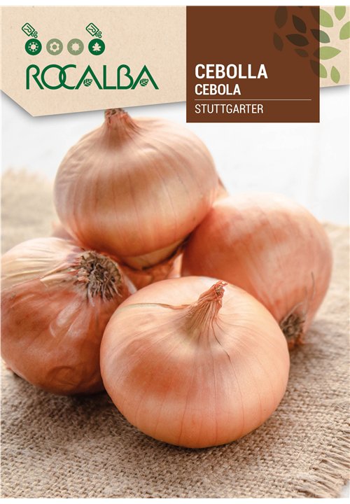 CEBOLLA STUTTGARTER