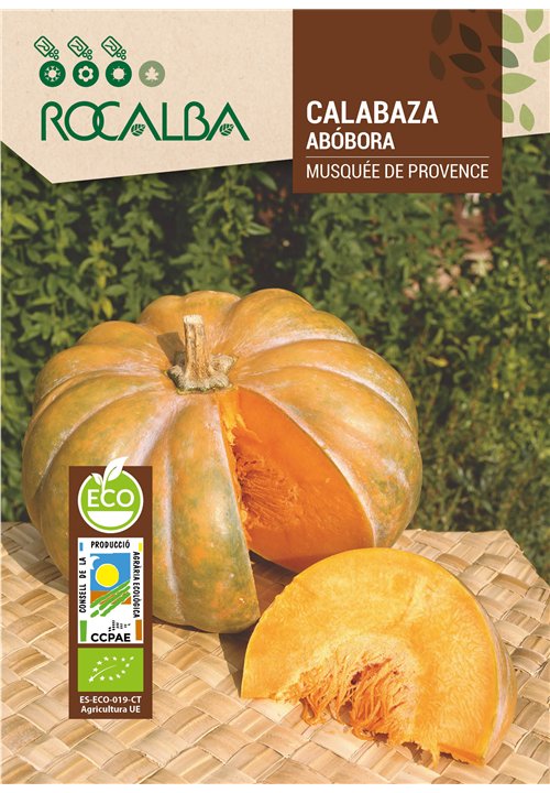 CALABAZA MUSCADE DE PROVENCE