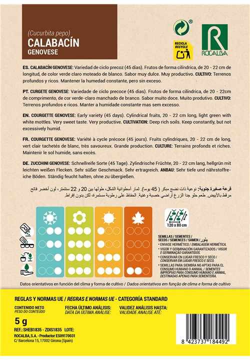 COURGETTE GENOVESE
