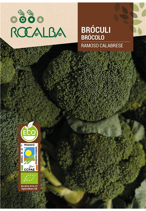 BRÓCULI RAMOSO CALABRESE