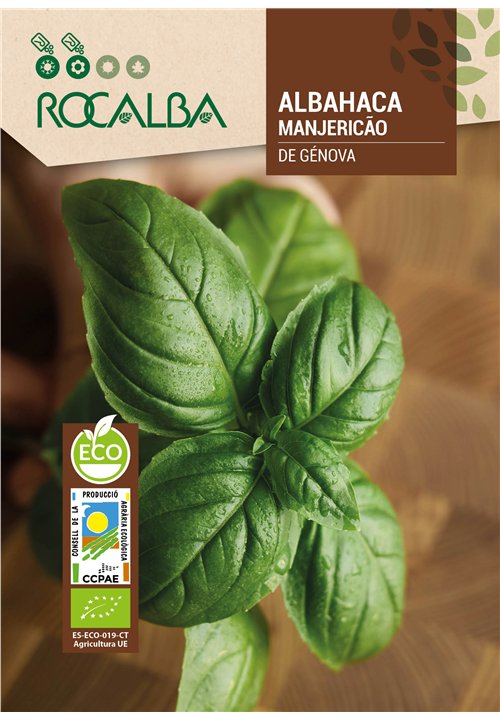 ALBAHACA DE GÉNOVA
