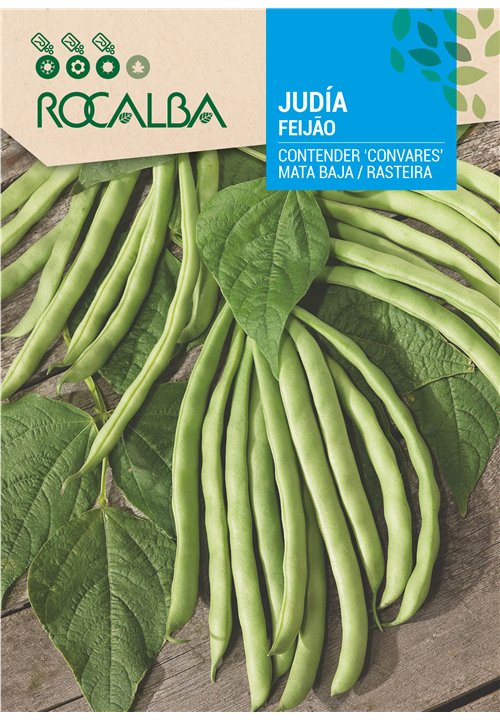 JUDÍA CONTENDER RAZA 'CONVARES'
