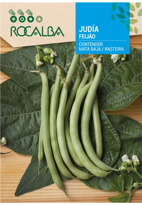 JUDÍA CONTENDER