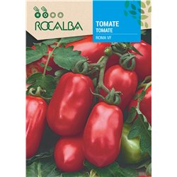 TOMATE ROMA VF