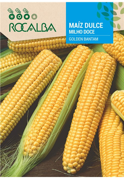 MAÏS DOUX GOLDEN BANTAM