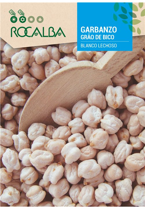 GRÃO DE BICO BLANCO LECHOSO