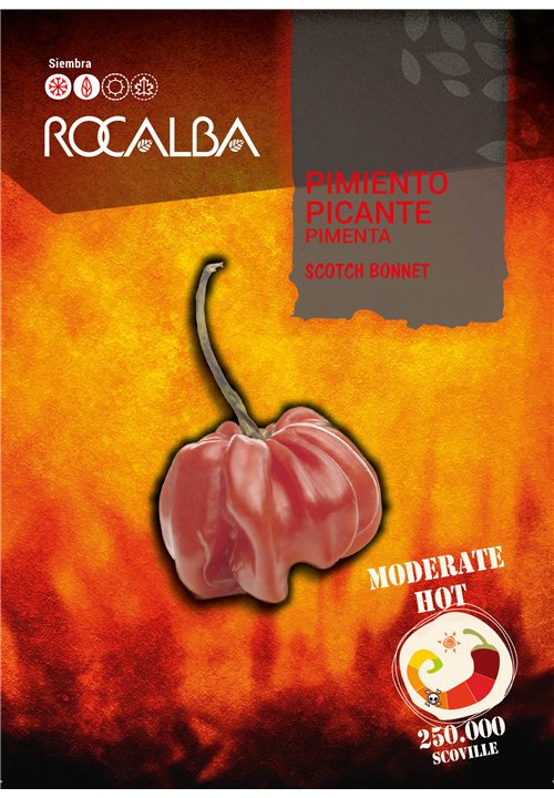 SCOTCH BONNET HOT PEPPER