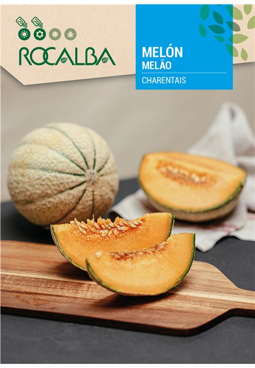 MELÓN CHARENTAIS