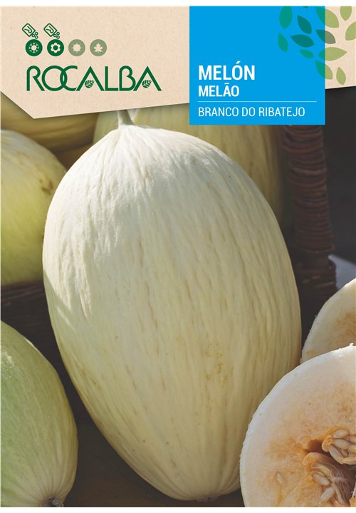 MELÓN BRANCO DO RIBATEJO