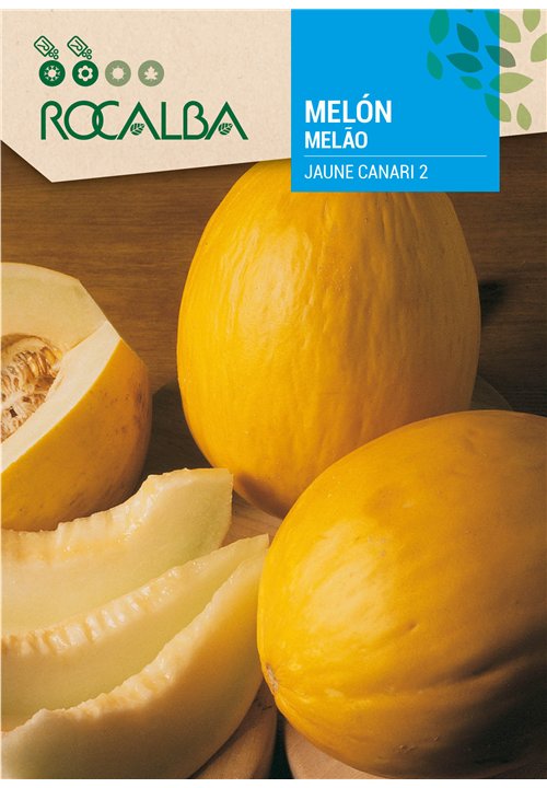 MELÓN JAUNE CANARI 2