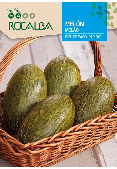 MELÓN PIEL DE SAPO ‘PAPIRO’