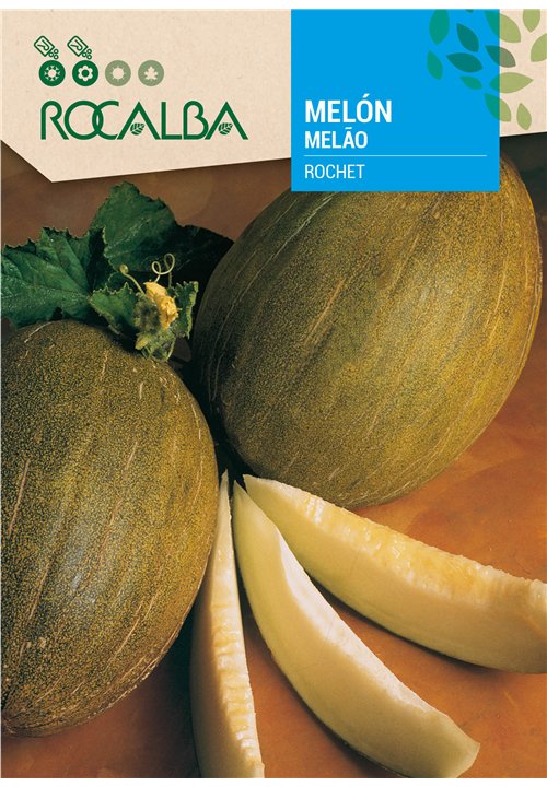 MELÓN ROCHET