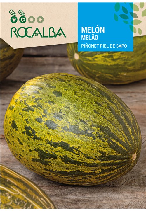 MELON PIÑONET PIEL DE SAPO