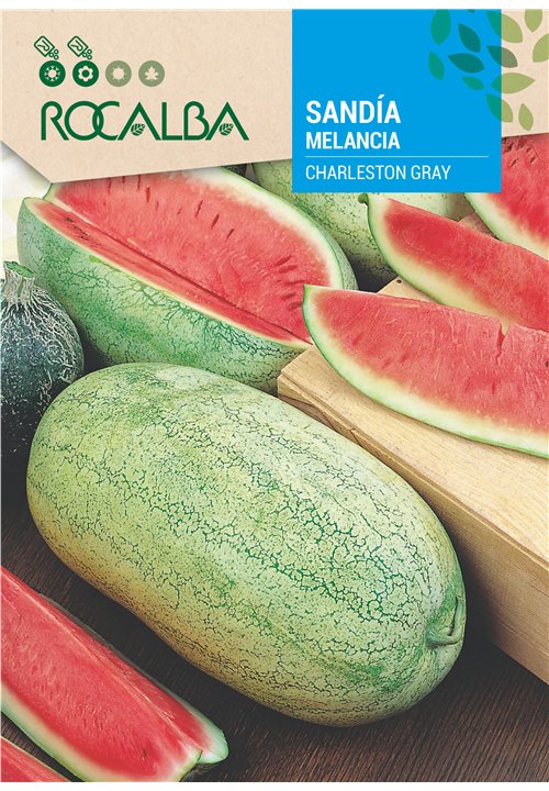 WATERMELON CHARLESTON GRAY