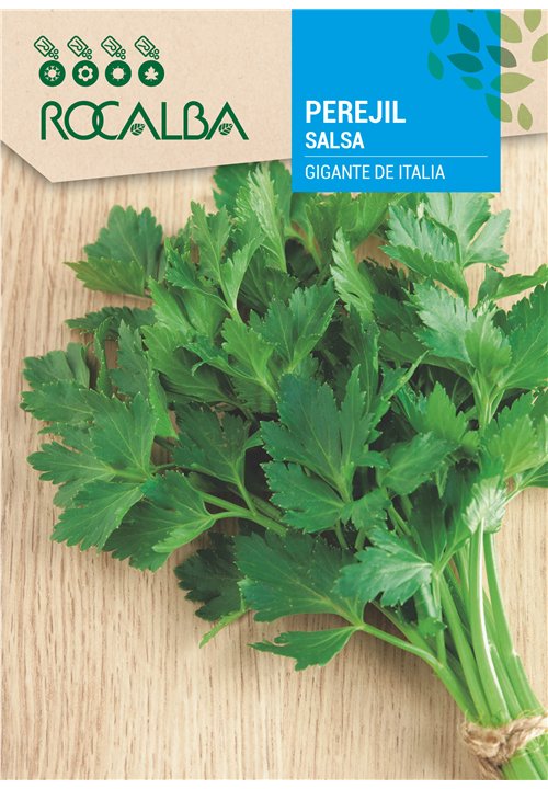 PEREJIL GIGANTE DE ITALIA
