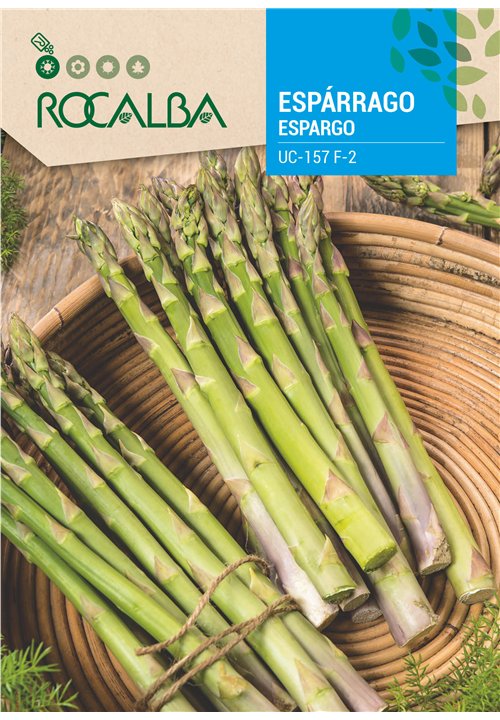 ASPERGE UC-157 F-2