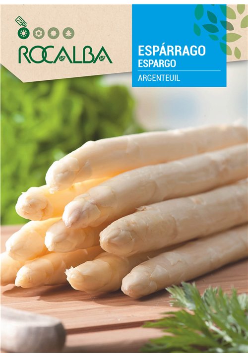 ASPERGE ARGENTEUIL