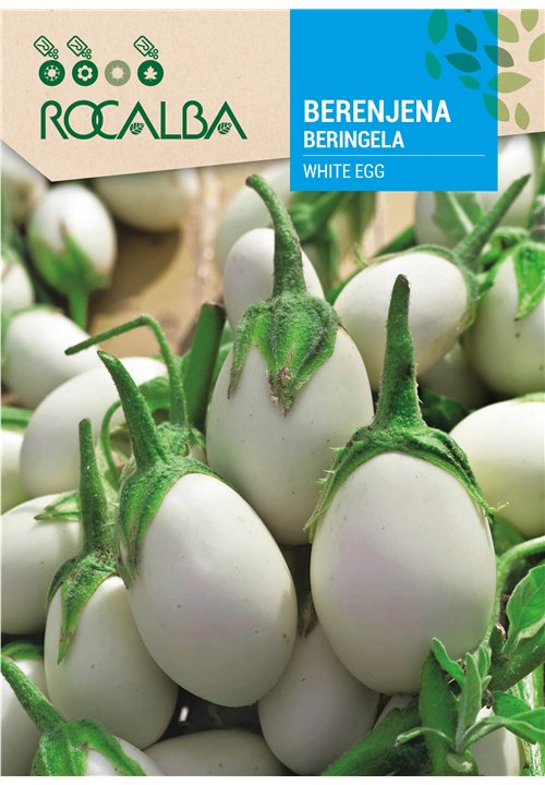 BERENJENA WHITE EGG