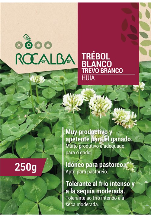 SEMILLA TREBOL BLANCO ENANO HUIA
