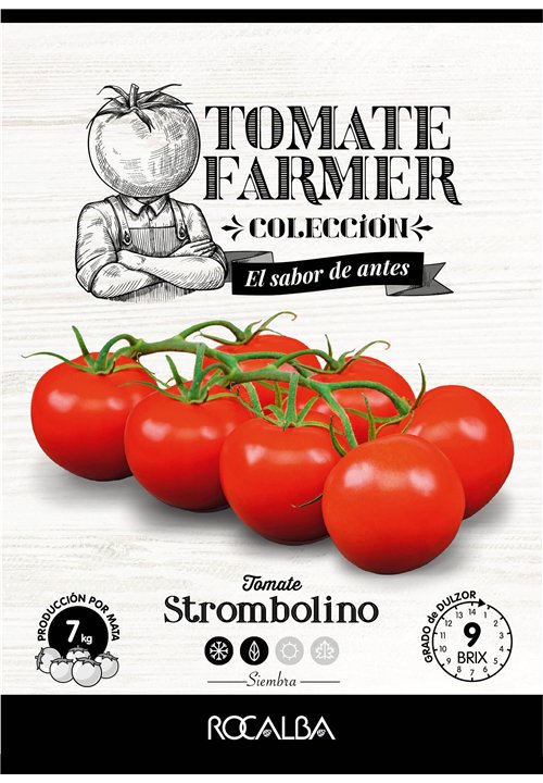 STROMBOLINO