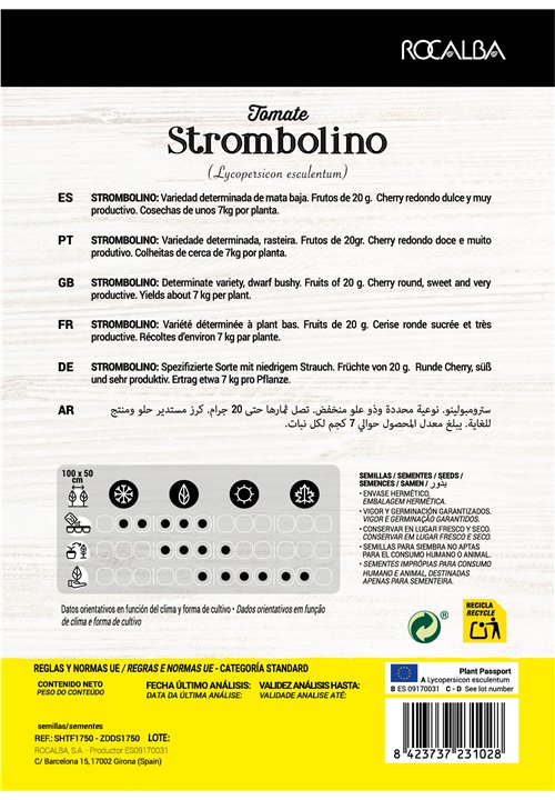 STROMBOLINO