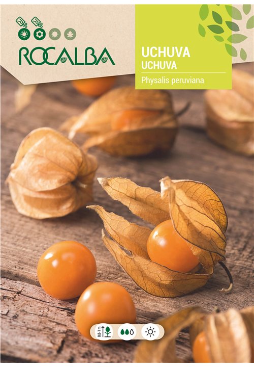 PHYSALIS PERUANA 