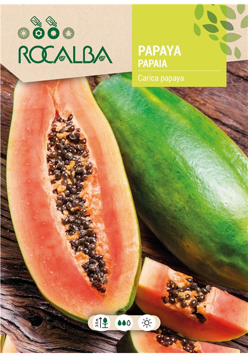 PAPAYA