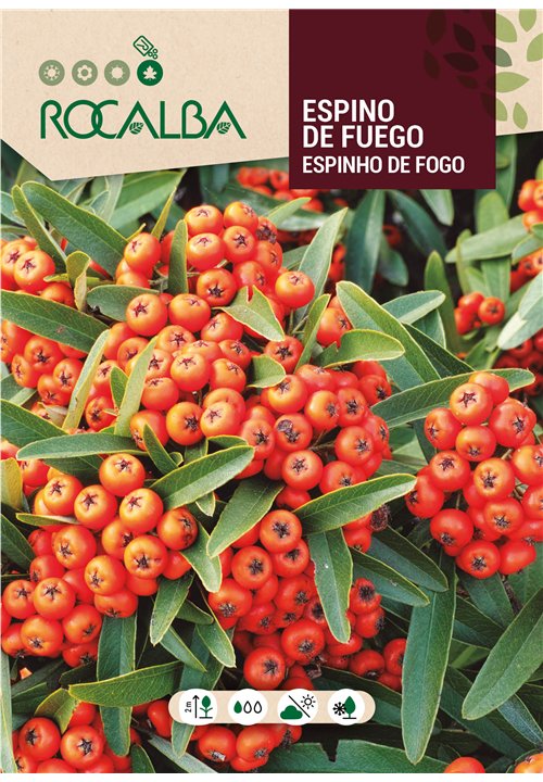 ESPINO DE FUEGO
