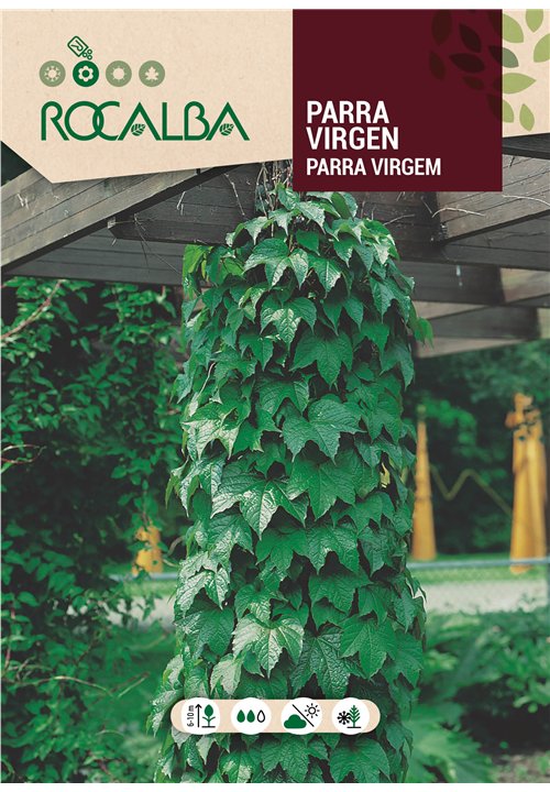 PARRA VIRGEN