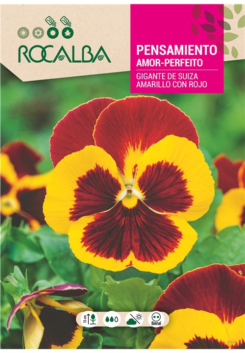 PENSAMIENTO GIGANTE DE SUIZA AMARILLO CON ROJO