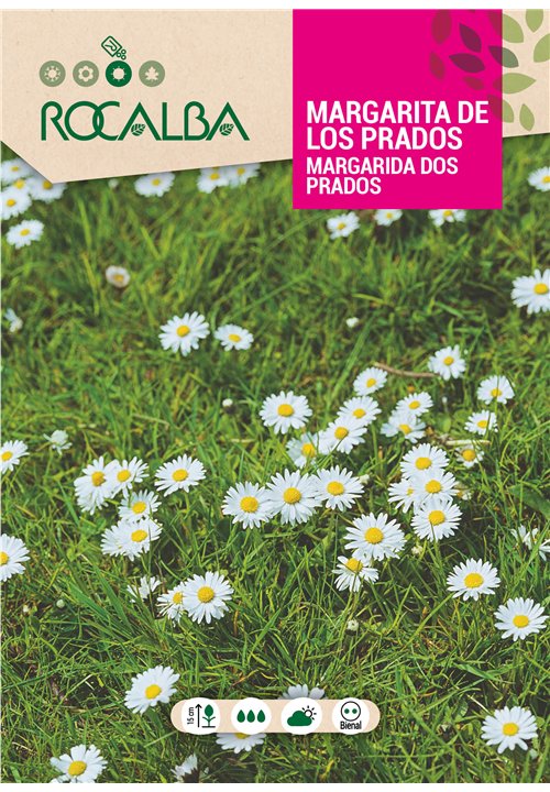 MARGARITA DE LOS PRADOS