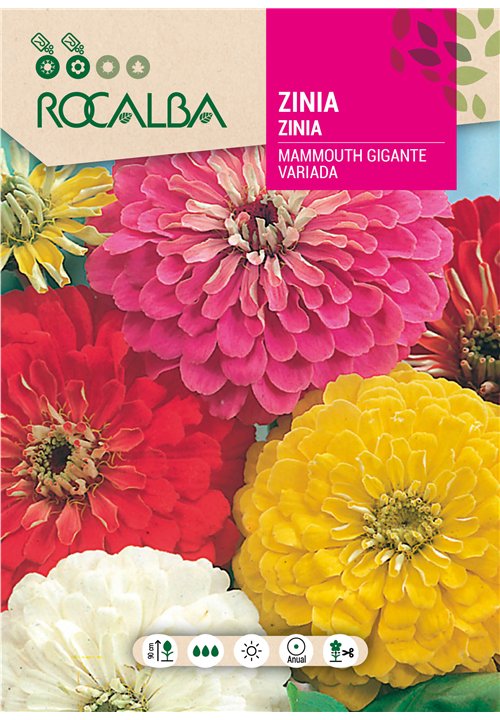 ZINIA MAMMOUTH GIGANTE VARIADA