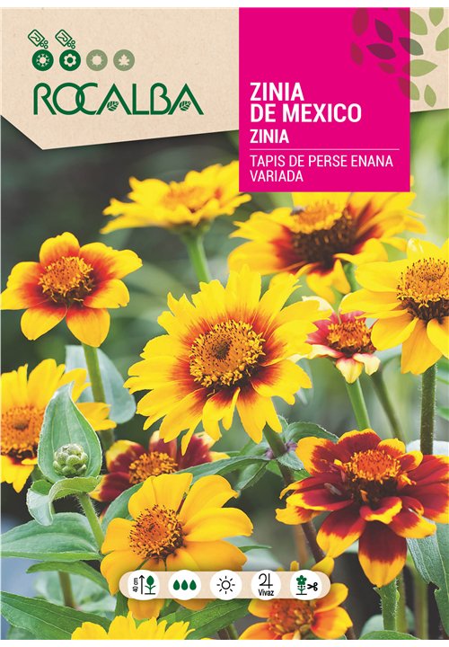 ZINIA DE MEXICO TAPIS DE PERSE ENANA VARIADA