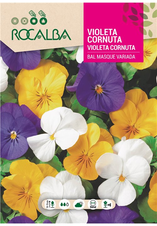 VIOLETA CORNUTA BAL MASQUÉ VARIADA
