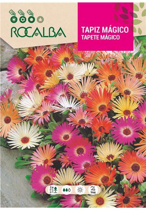 TAPIZ MÁGICO