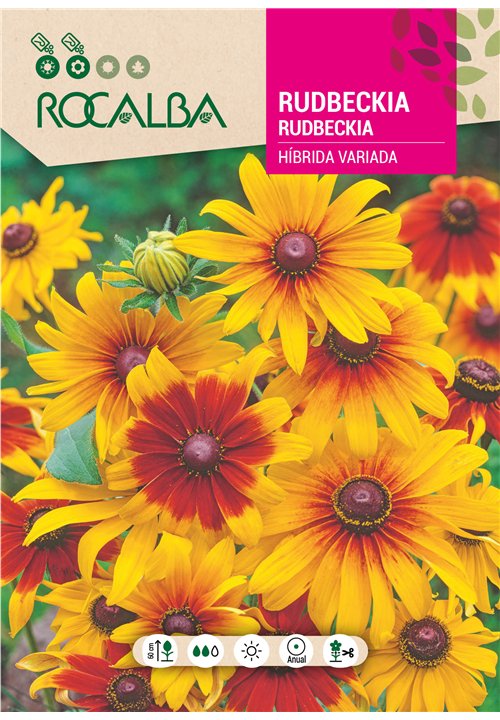 RUDBECKIA HÍBRIDA VARIADA