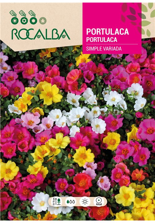 PORTULACA SIMPLE VARIADA