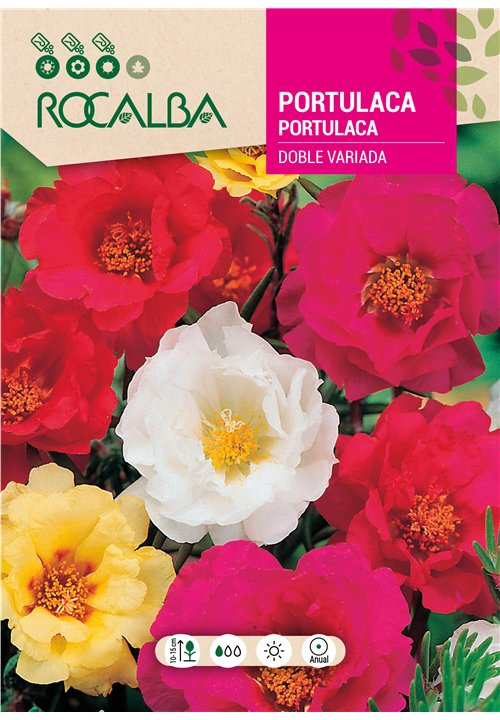 PORTULACA DOBLE VARIADA