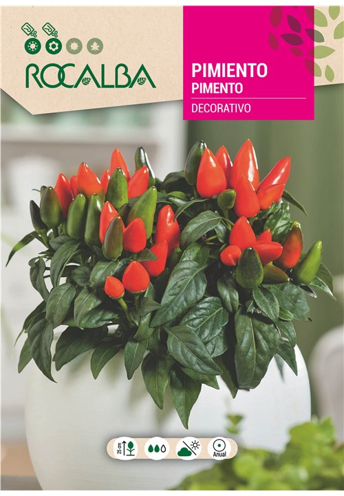 PIMIENTO DECORATIVO