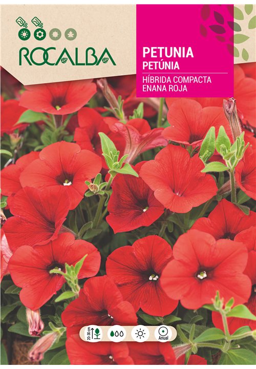 PETUNIA HÍBRIDA COMPACTA ENANA ROJA