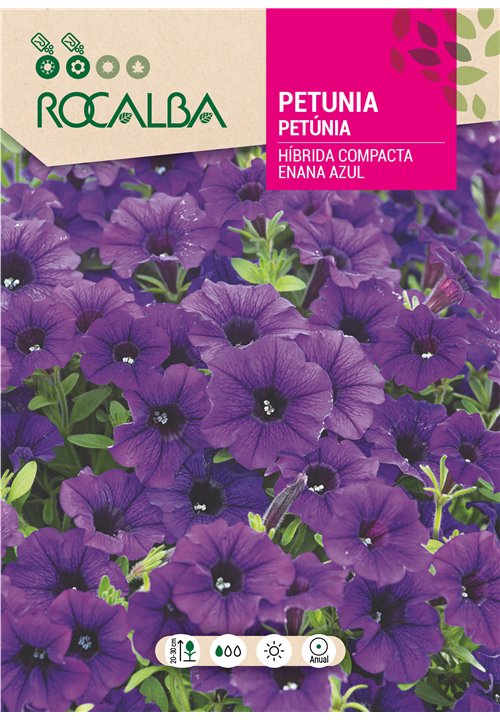 PETUNIA HÍBRIDA COMPACTA ENANA AZUL