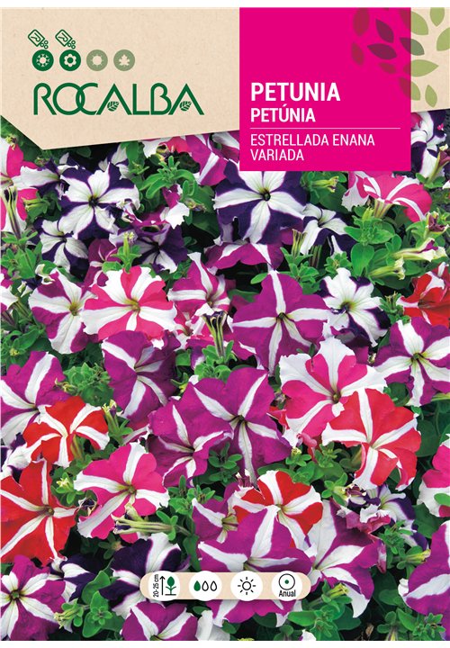 PETUNIA ESTRELLADA ENANA VARIADA