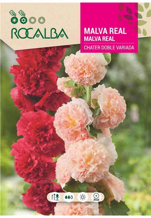 MALVA REAL CHATER DOBLE VARIADA