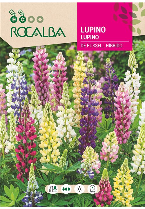 LUPINO DE RUSSEL HÍBRIDO