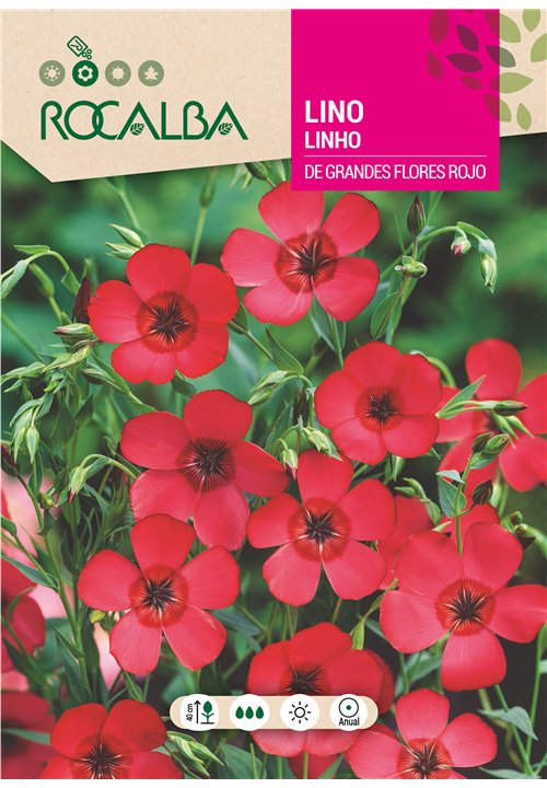 LINO DE GRANDES FLORES ROJO