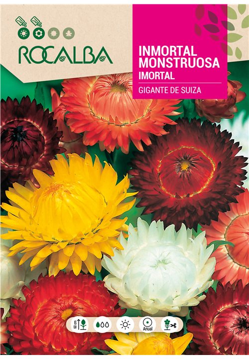 INMORTAL MONSTRUOSA GIGANTE DE SUIZA