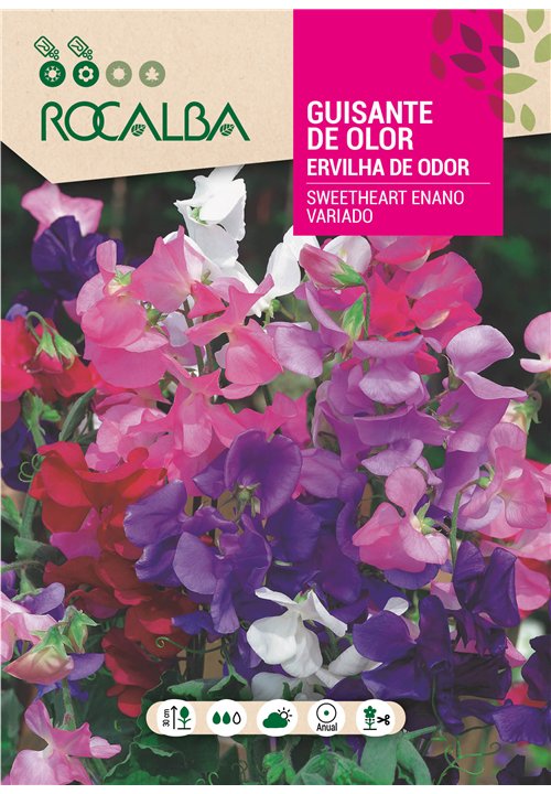 GUISANTE DE OLOR SWEETHEART ENANO VARIADO